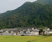 大埔天气预报60天